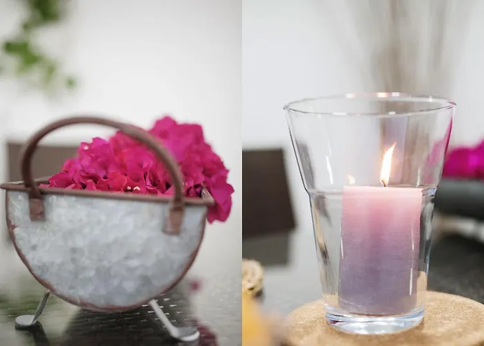 Clara 플라야블랑카